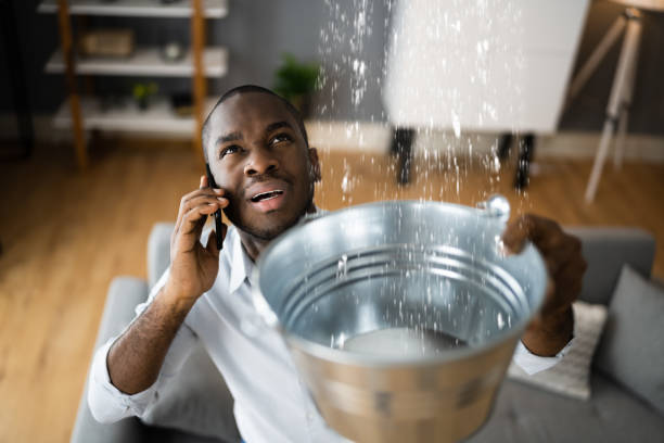 Best Residential water damage restoration  in Republic, WA