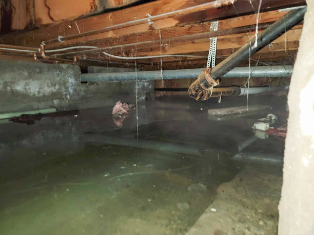 Sewage cleanup and water damage restoration in Republic, WA