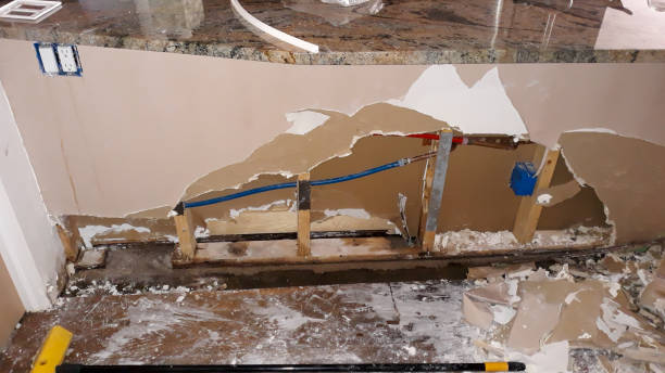 Best Basement water damage restoration  in Republic, WA