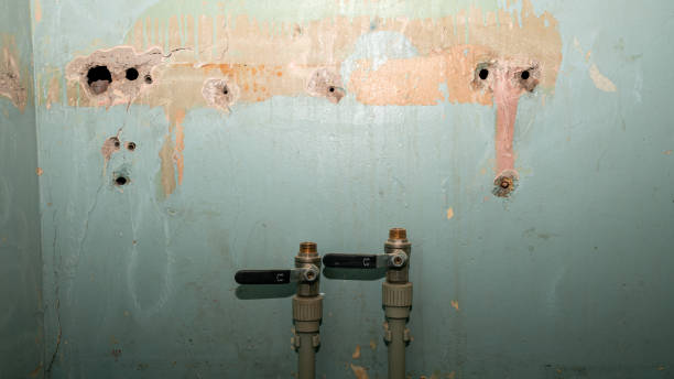 Best Flood restoration services  in Republic, WA