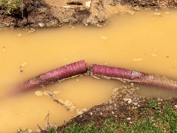 Best Local water damage restoration  in Republic, WA